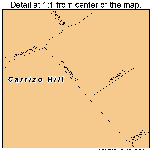 Carrizo Hill, Texas road map detail