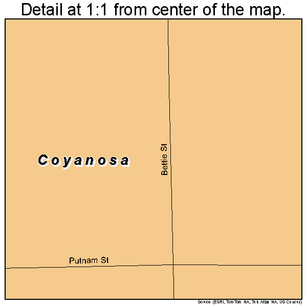 Coyanosa, Texas road map detail