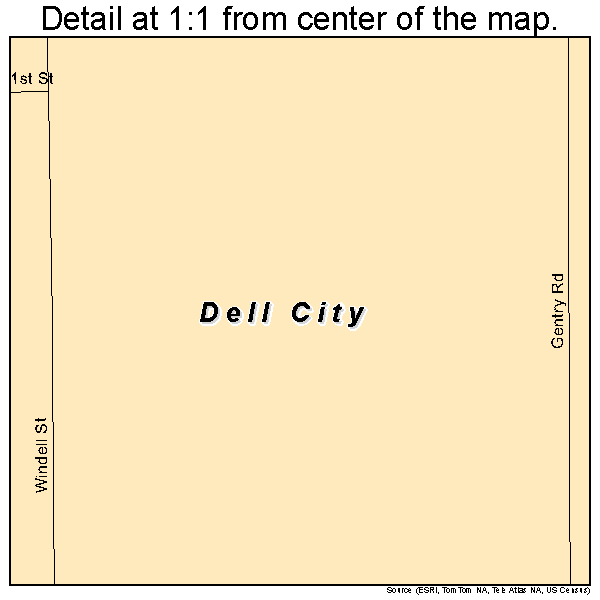 Dell City, Texas road map detail