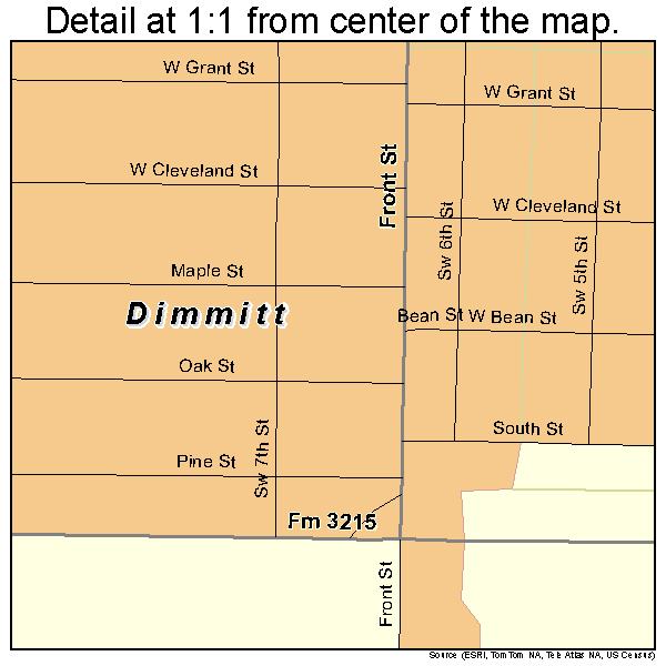 Dimmitt, Texas road map detail