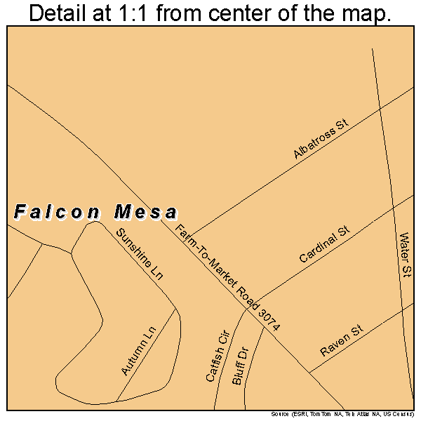 Falcon Mesa, Texas road map detail