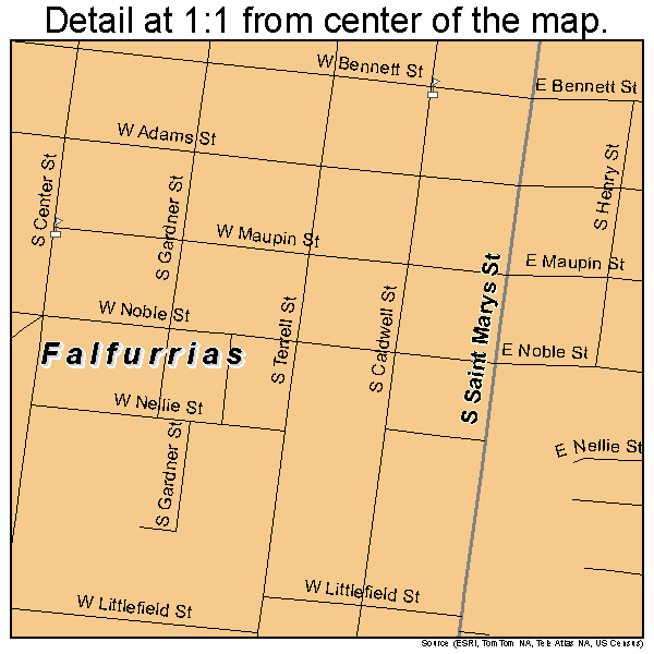 Falfurrias, Texas road map detail