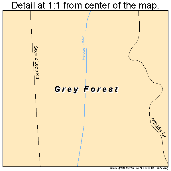 Grey Forest, Texas road map detail