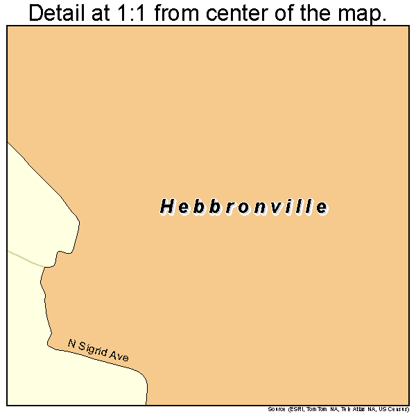 Hebbronville, Texas road map detail