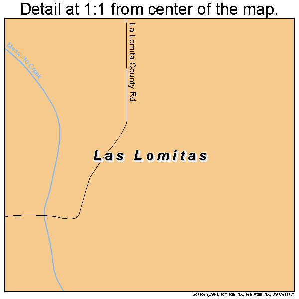 Las Lomitas, Texas road map detail
