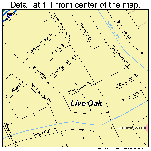 Live Oak, Texas road map detail