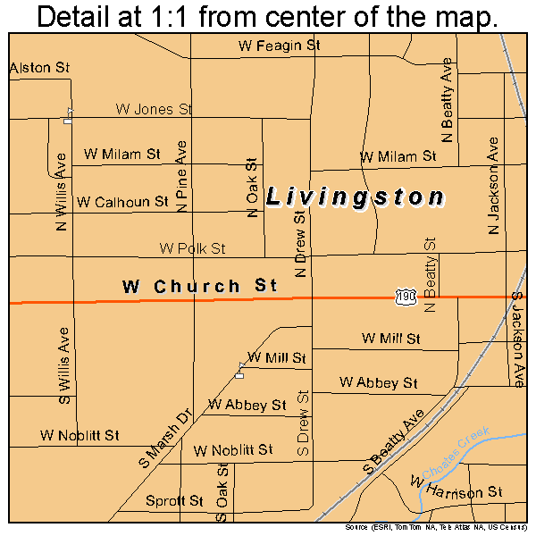 Livingston, Texas road map detail