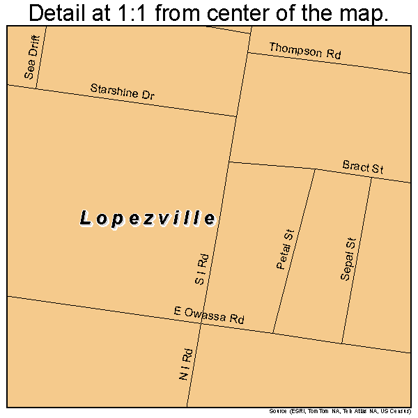 Lopezville, Texas road map detail