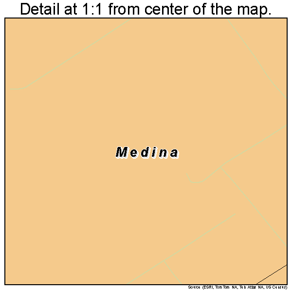 Medina, Texas road map detail