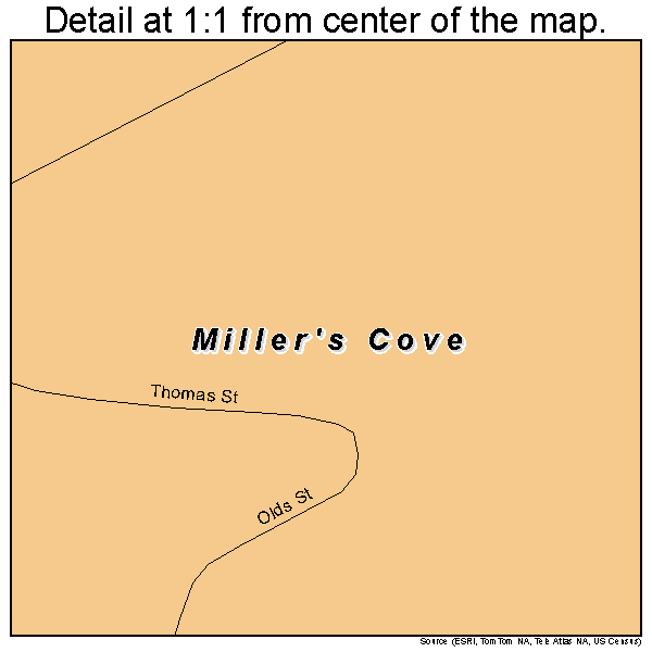 Miller's Cove, Texas road map detail