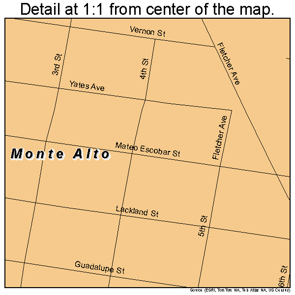 Monte Alto, Texas road map detail