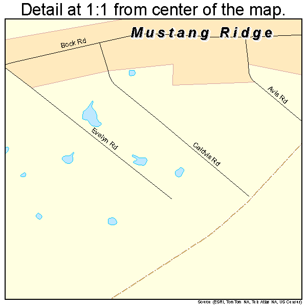 Mustang Ridge, Texas road map detail