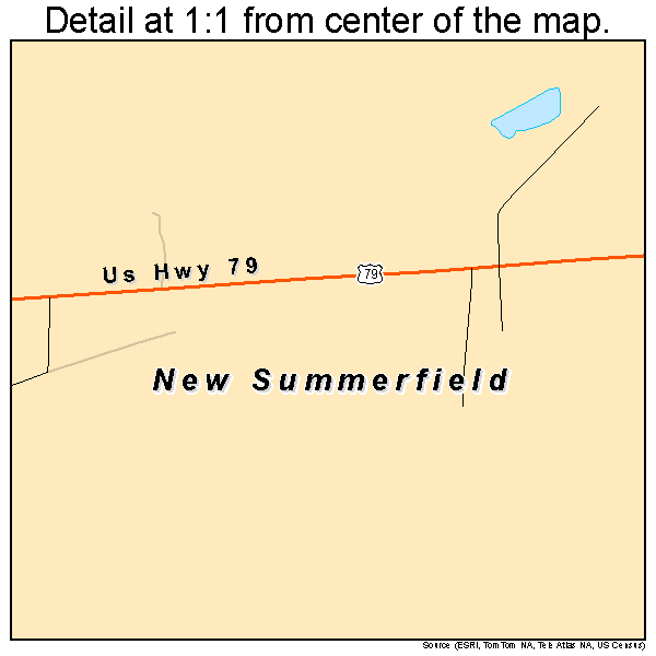 New Summerfield, Texas road map detail