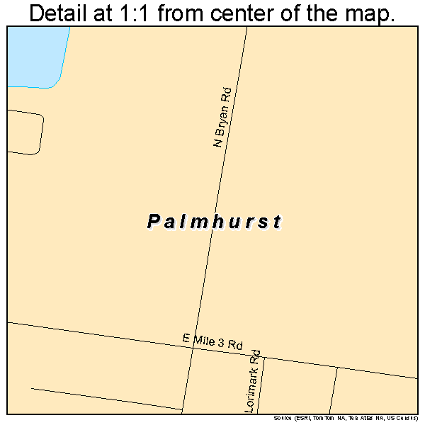 Palmhurst, Texas road map detail