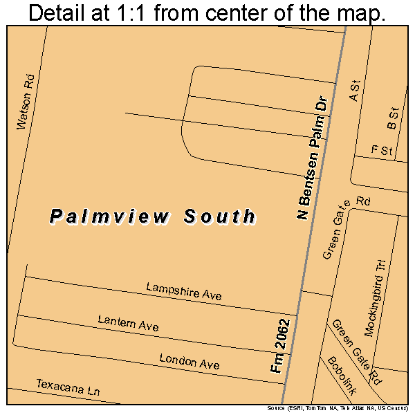 Palmview South, Texas road map detail