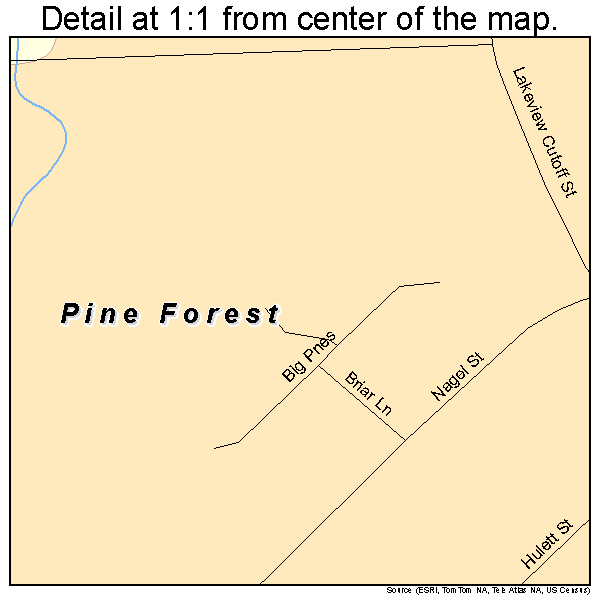 Pine Forest, Texas road map detail