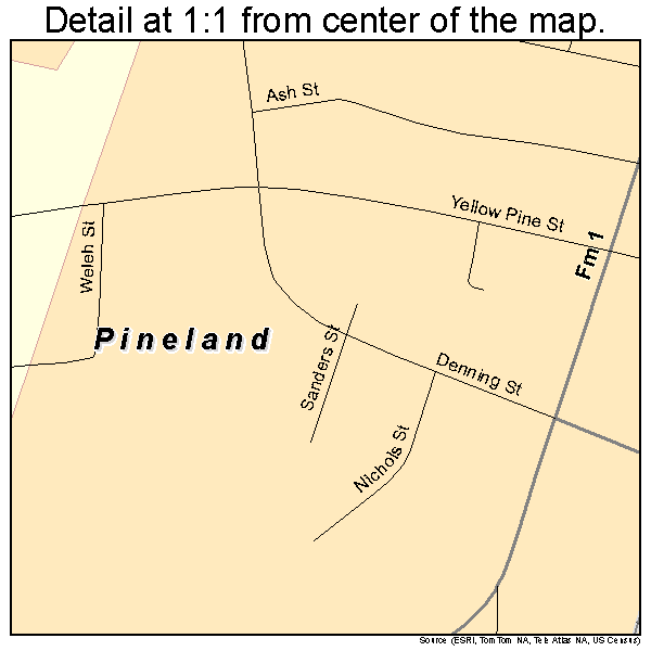 Pineland, Texas road map detail