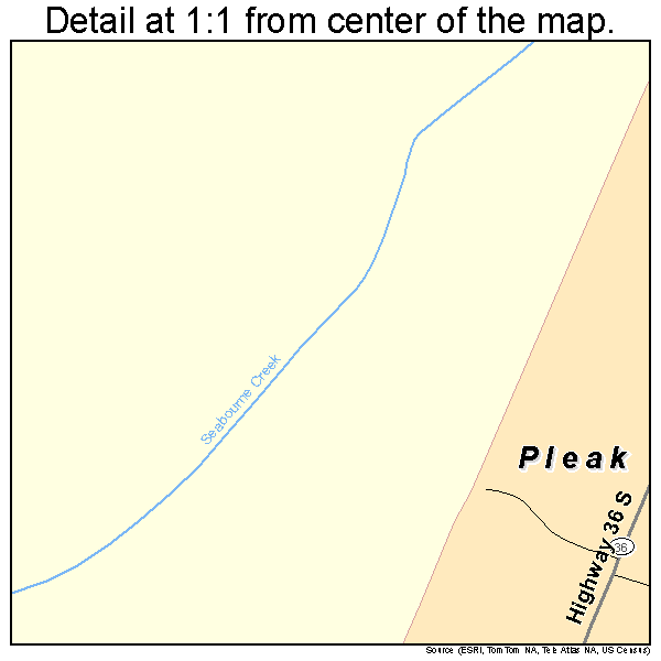 Pleak, Texas road map detail