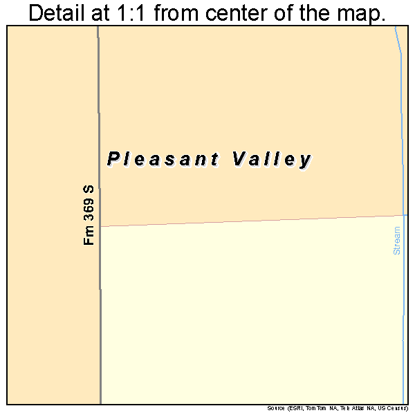 Pleasant Valley, Texas road map detail
