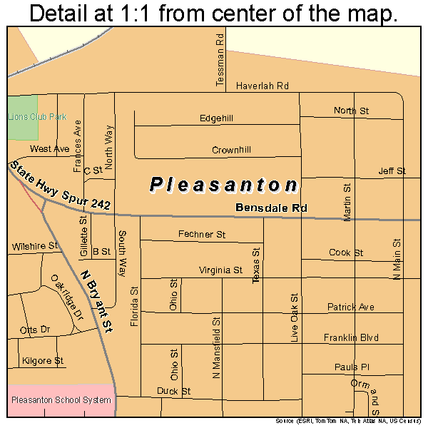Pleasanton, Texas road map detail