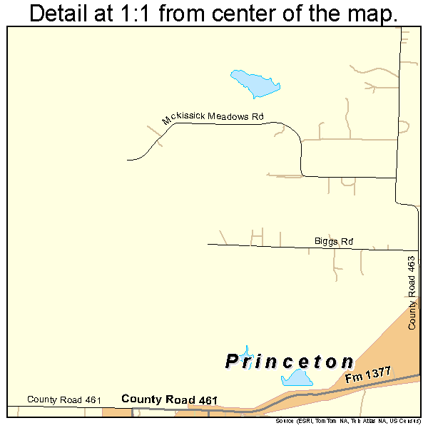 Princeton, Texas road map detail