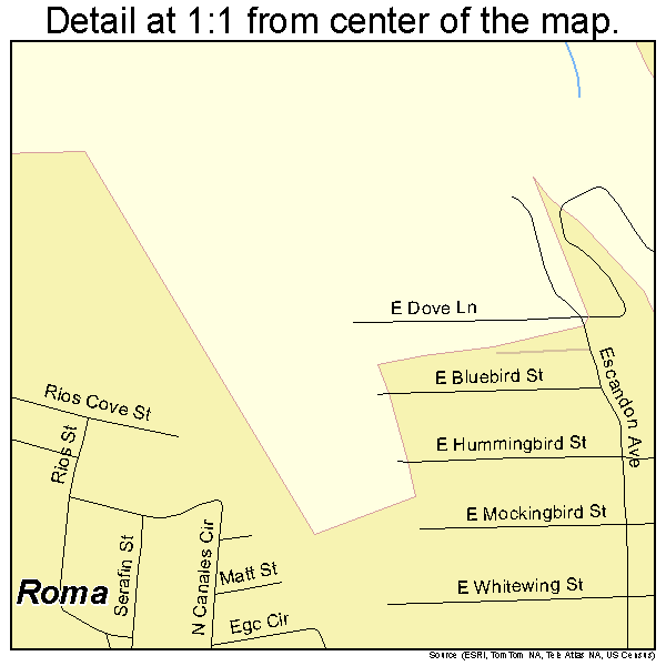 Roma, Texas road map detail