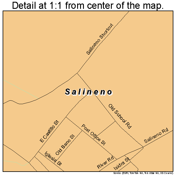 Salineno, Texas road map detail