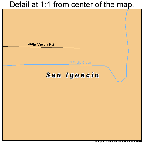 San Ignacio, Texas road map detail