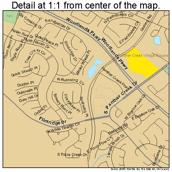 The Woodlands, Texas road map detail