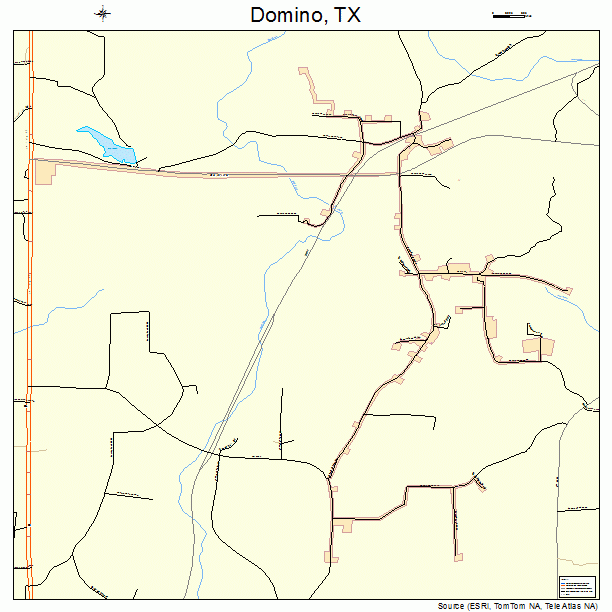 Domino, TX street map