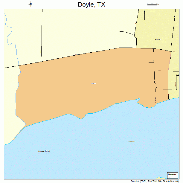 Doyle, TX street map