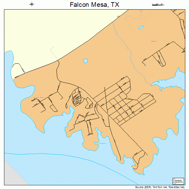 Falcon Mesa, TX street map