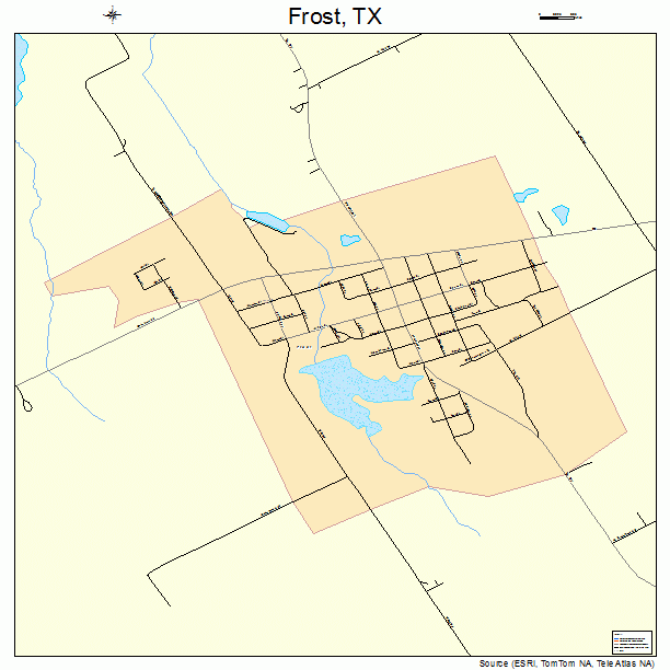 Frost, TX street map