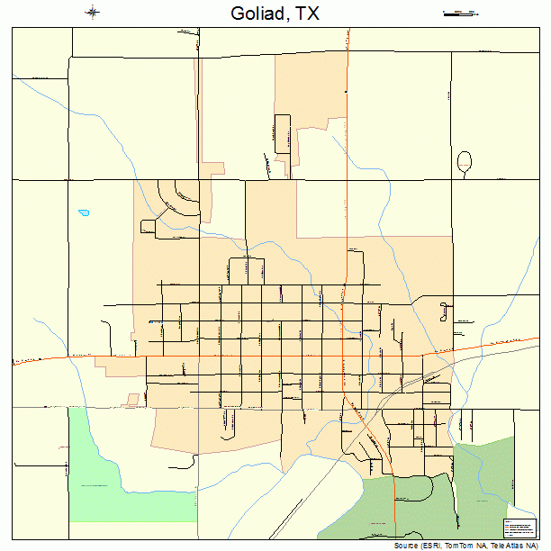 Goliad, TX street map