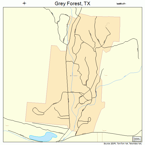 Grey Forest, TX street map