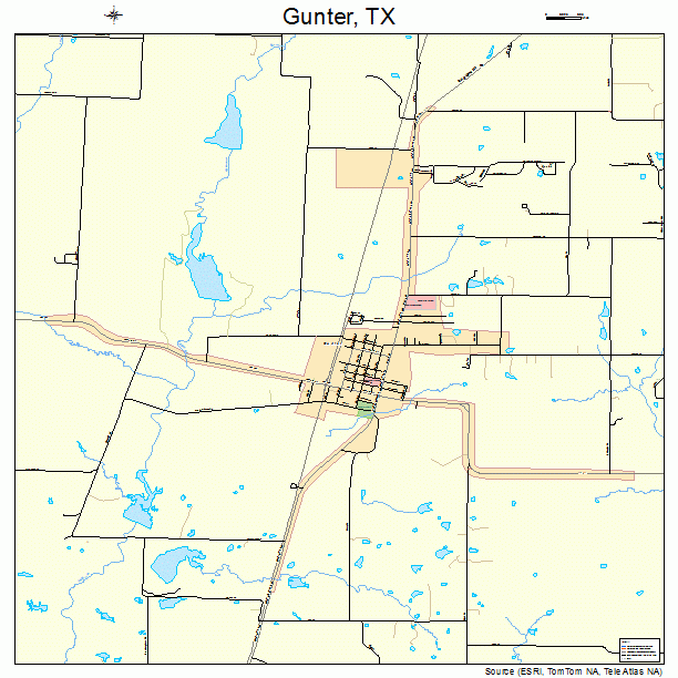 Gunter, TX street map
