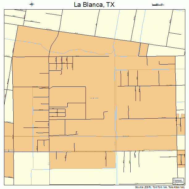 La Blanca, TX street map