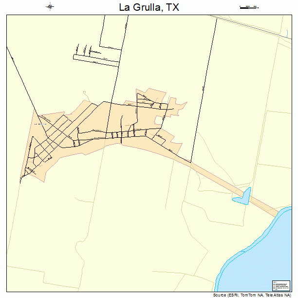 La Grulla, TX street map