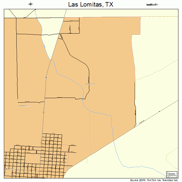Las Lomitas, TX street map