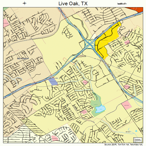 Live Oak, TX street map