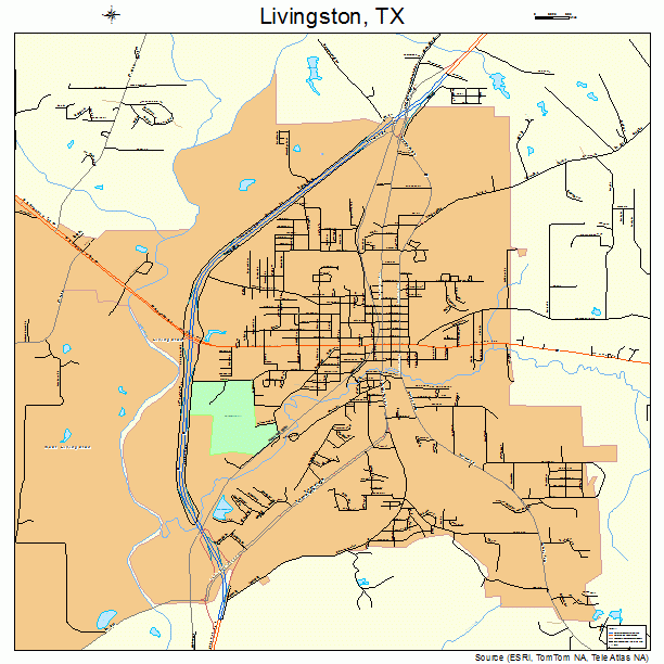 Livingston, TX street map