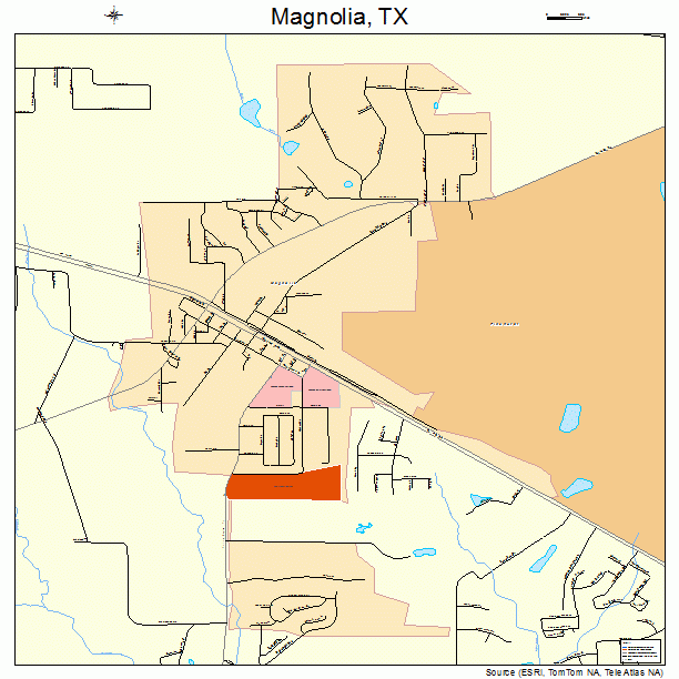 Magnolia, TX street map