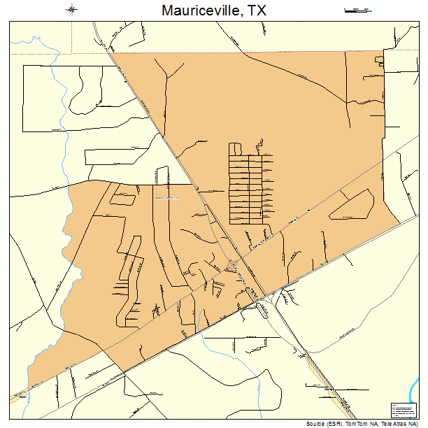 Mauriceville, TX street map