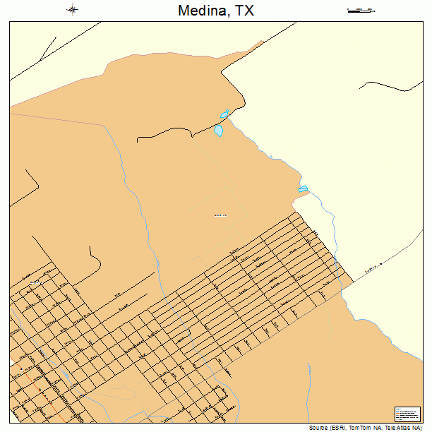 Medina, TX street map