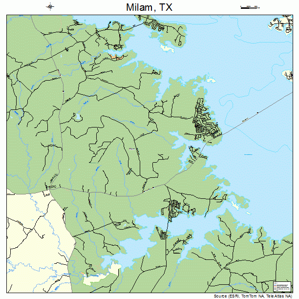 Milam, TX street map