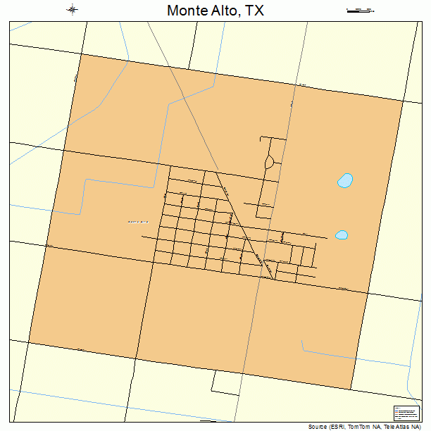 Monte Alto, TX street map