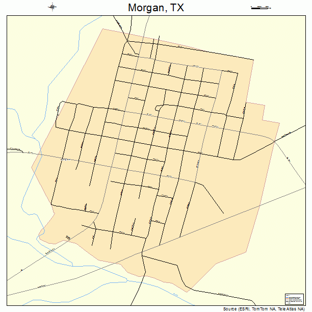 Morgan, TX street map