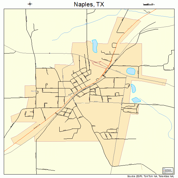 Naples, TX street map