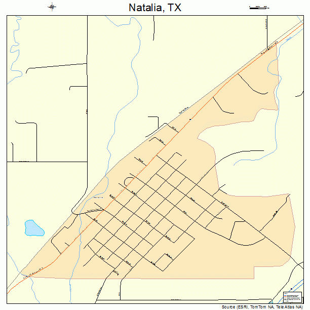 Natalia, TX street map