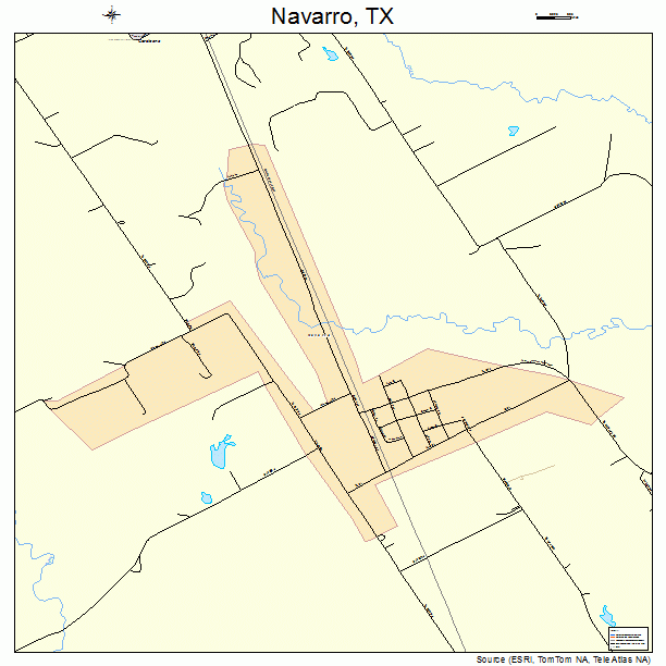 Navarro, TX street map